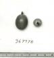 Click for 1 image(s) for this accession. FRUIT